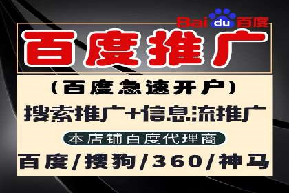 SEM竞价入门指南，经典案例分享